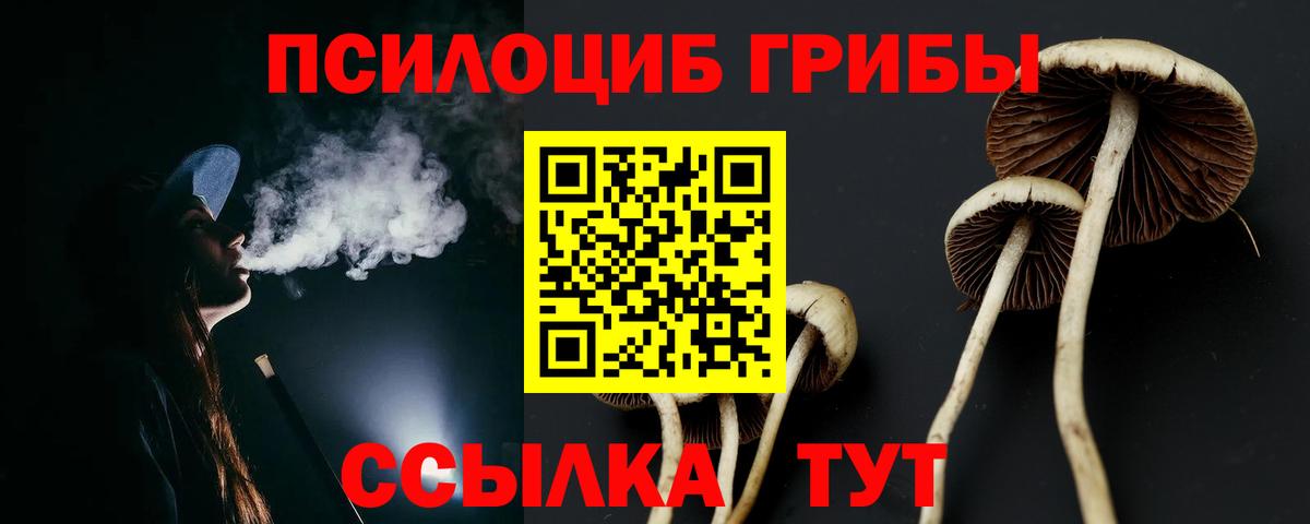 Галлюциногенные грибы Cubensis  Псилоцибиновые грибы Psilocybine cubensis  Вход с VPN  Бузулук 